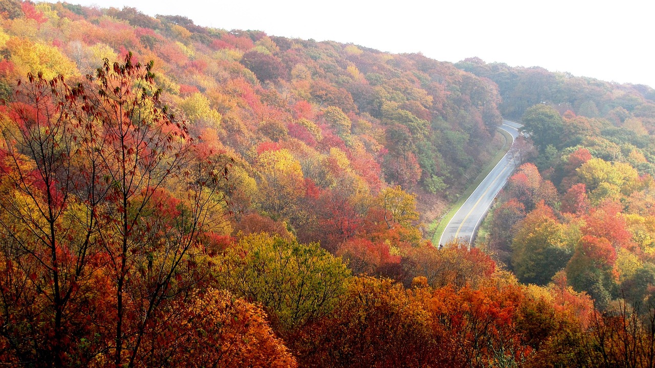 The fall foliage of the blue ridge mountains in western north carolina