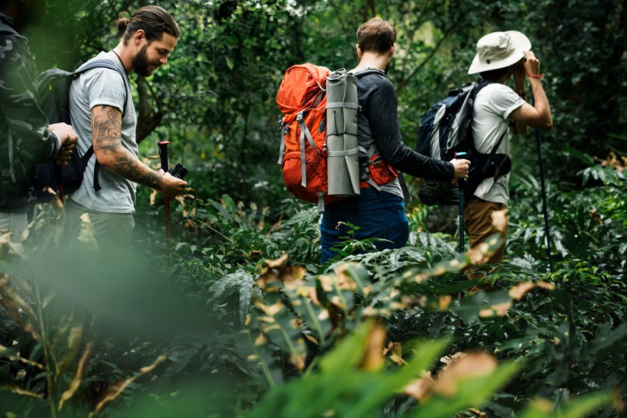 Breathtaking Full-Day Hike in Pisgah National Forest