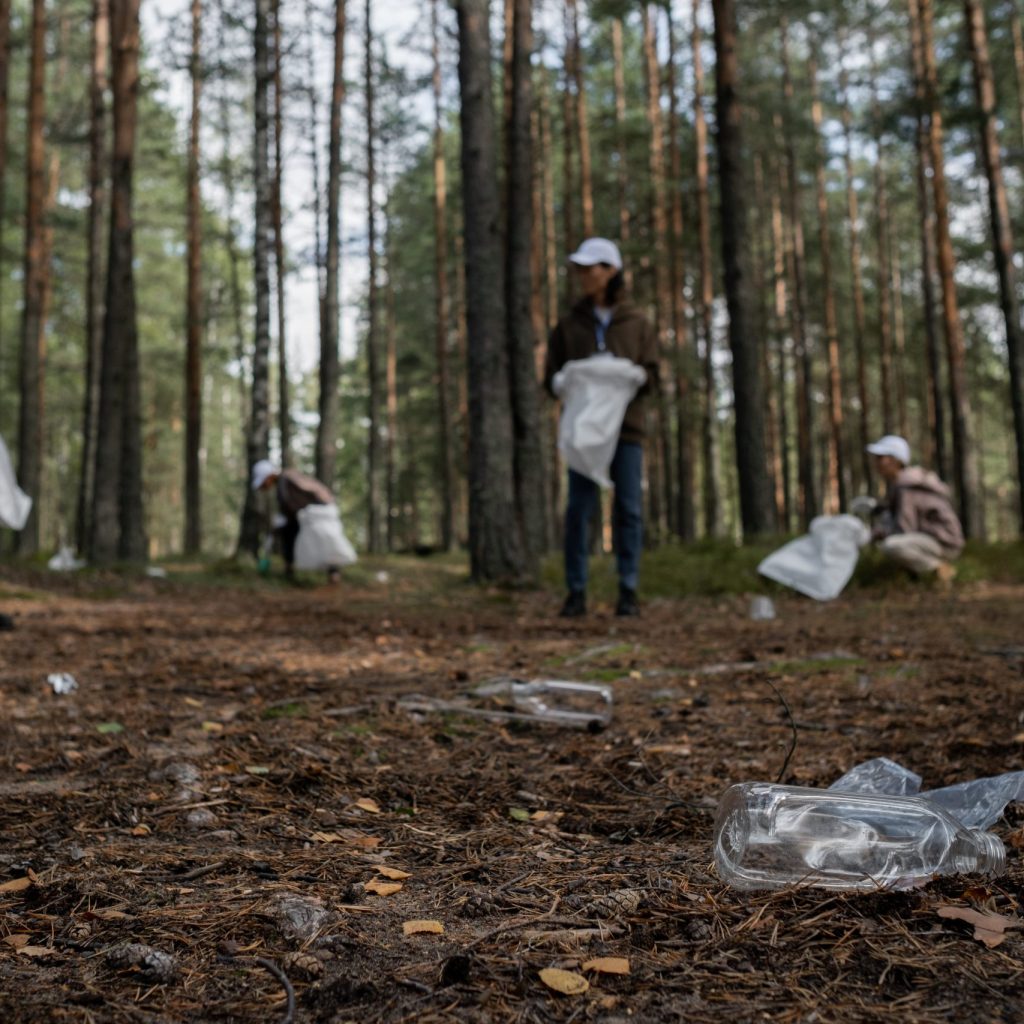 A group clean up project in the woods