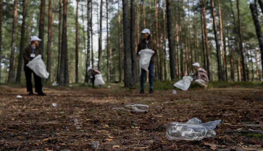 A group clean up project in the woods