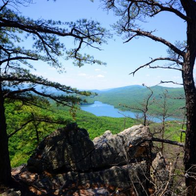 Looking through trees at a view of Carvins Cove lake from above at the Tinker Mountain Trailhead