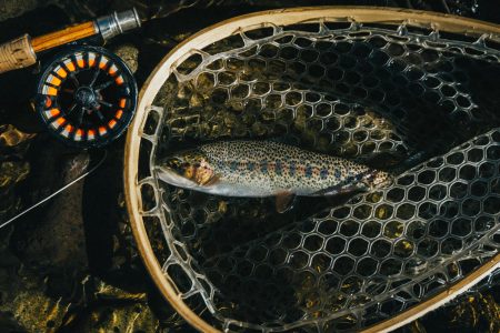 Which is Cheaper? Fishing On Your Own or Hiring a Guide?