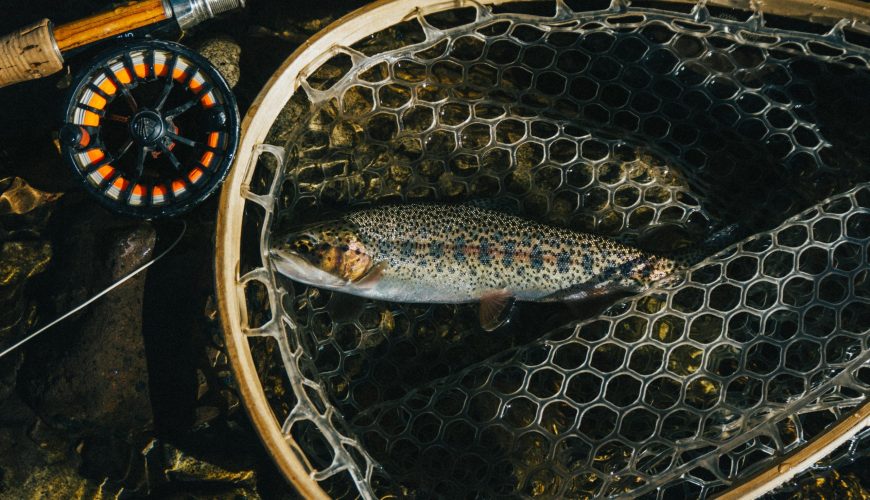 Which is Cheaper? Fishing On Your Own or Hiring a Guide?