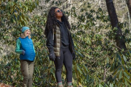 Private Forest Therapy Retreat, Asheville, NC