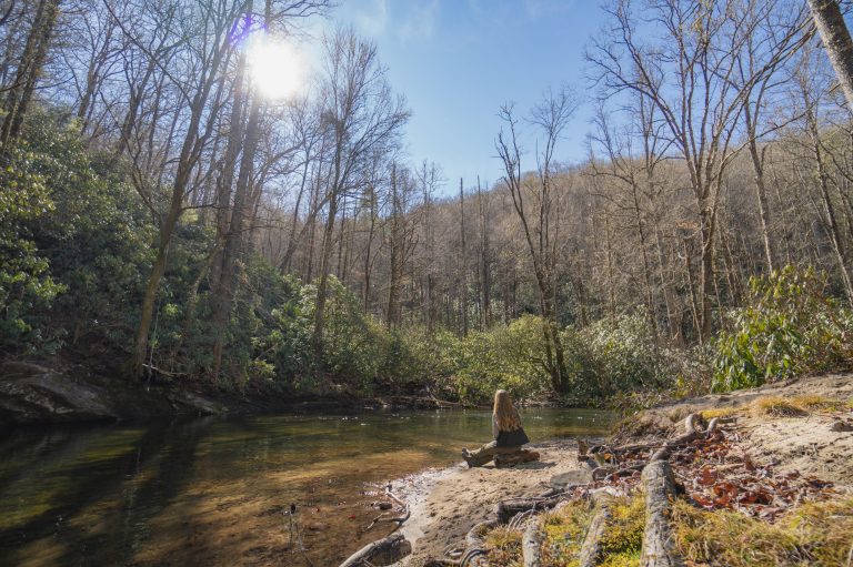 Blonde hair woman sitting atop a rock on a sandy river bank engrossed in a forest therapy tour in the woods on a sunny day