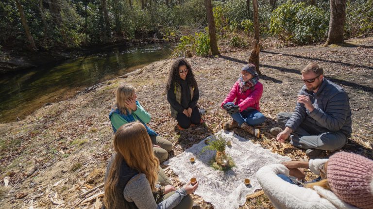 Group of four people sit around a tea ceremony during forest therapy Asheville, NC.