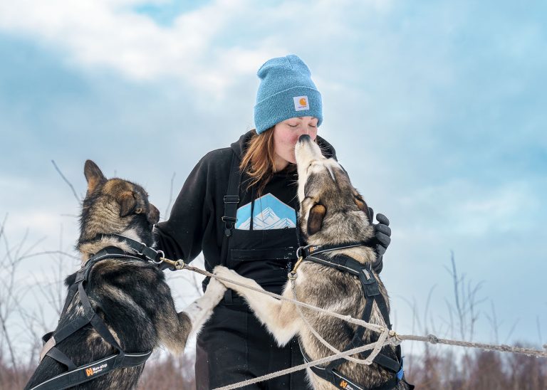 A women in blue beanie hat and back sweatshirt with Susitna Sled Dog Adventures logo on it receives kisses from two black and white husky dogs on blue sky day.