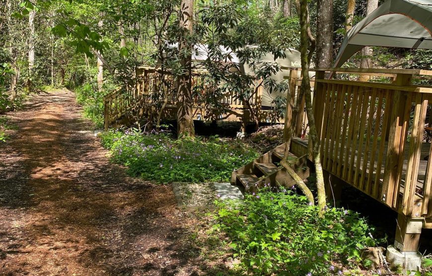 Smoky Mountain National Park Hiking and Yoga Retreats