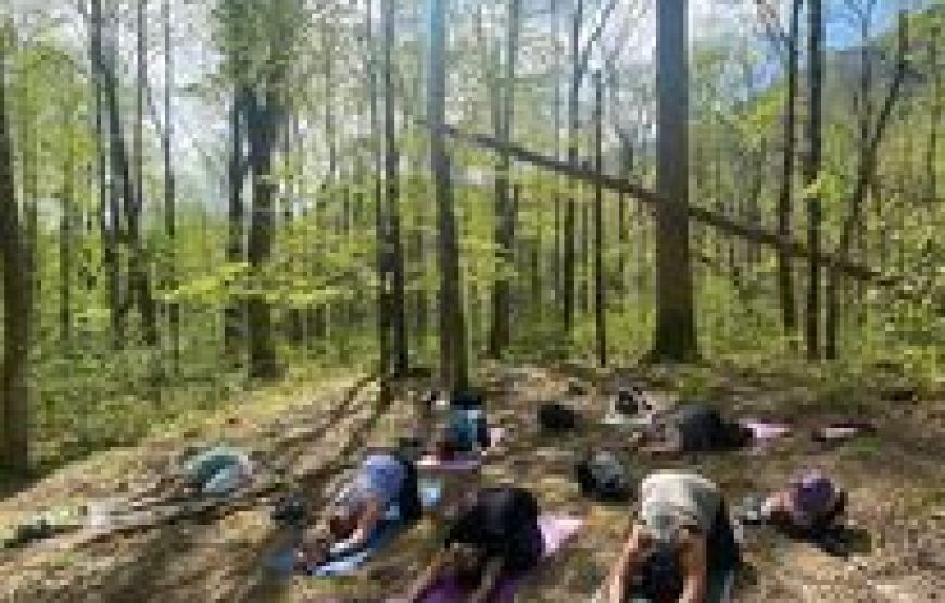 Smoky Mountain National Park Hiking and Yoga Retreats