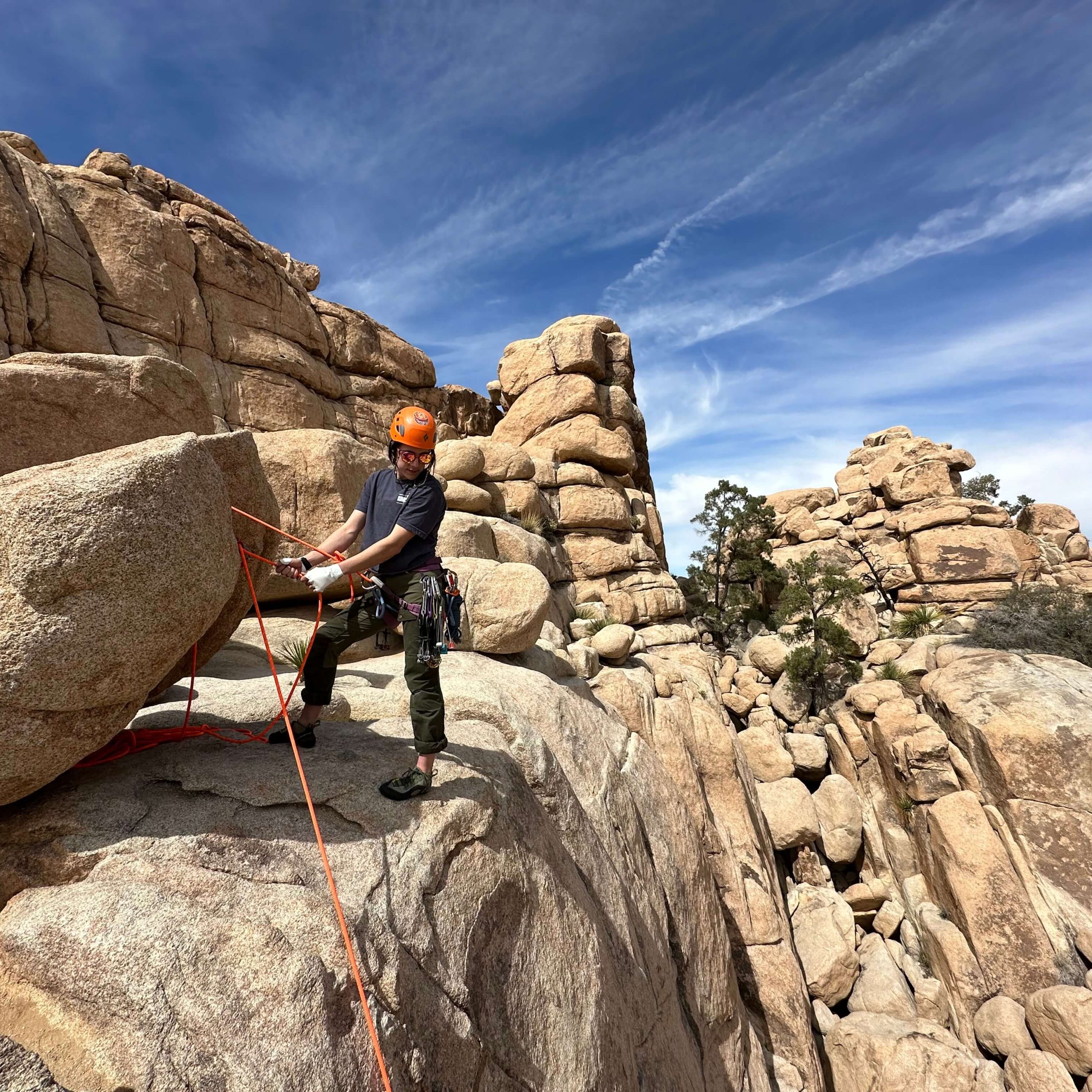 Best Joshua Tree Climbing Tour in Southern California