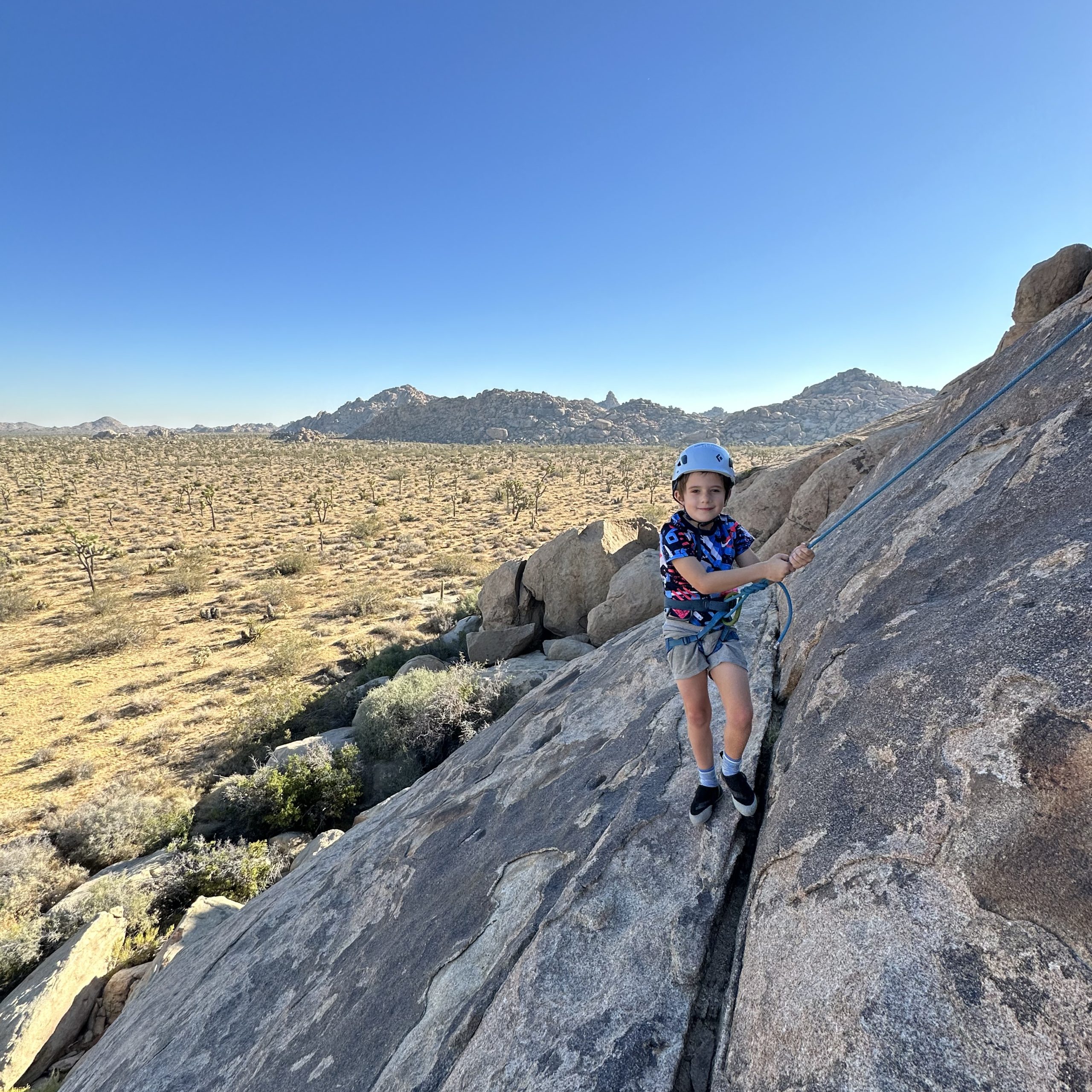 Best Joshua Tree Climbing Tour in Southern California