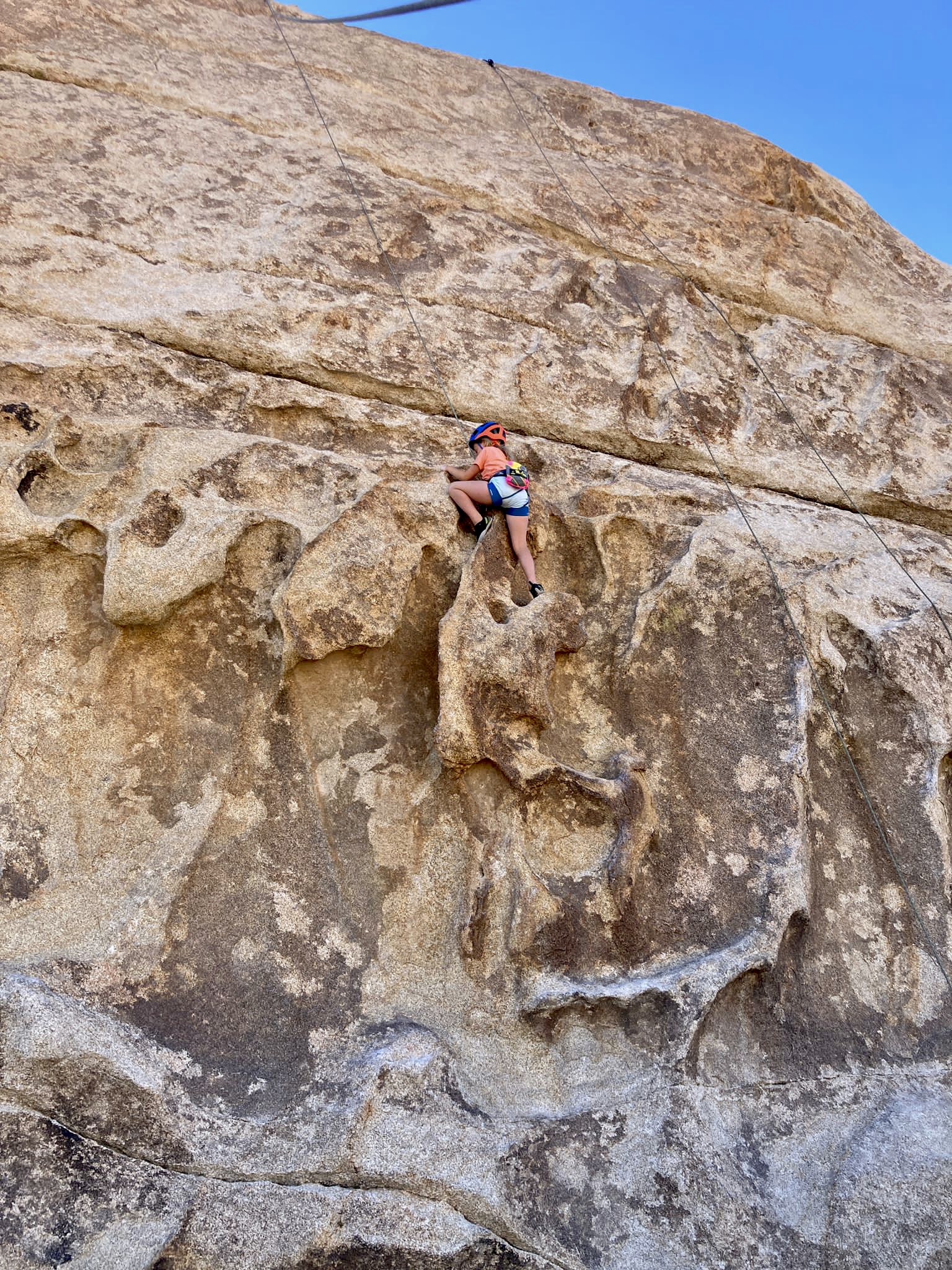 Best Joshua Tree Climbing Tour in Southern California