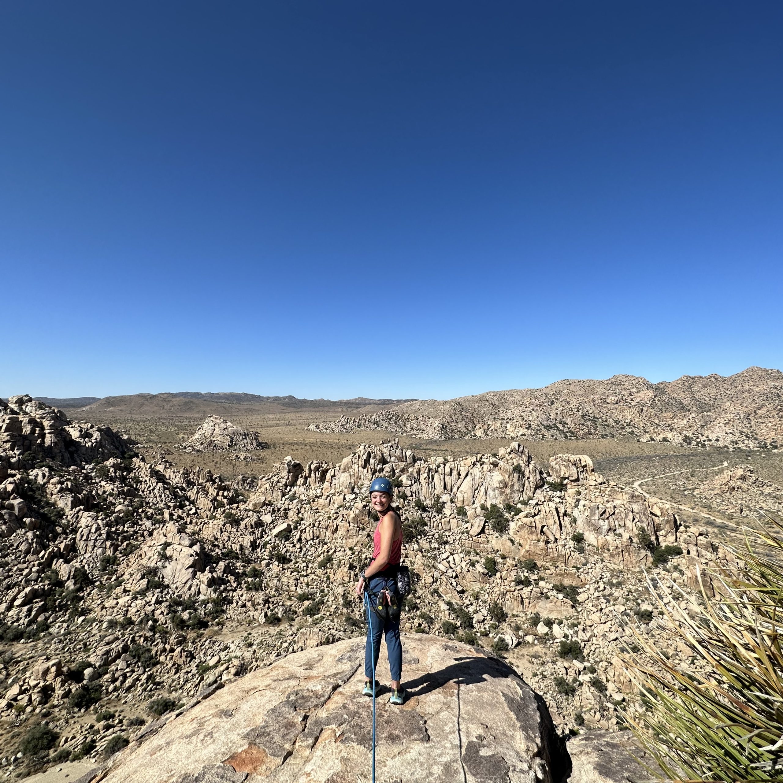 Best Joshua Tree Climbing Tour in Southern California