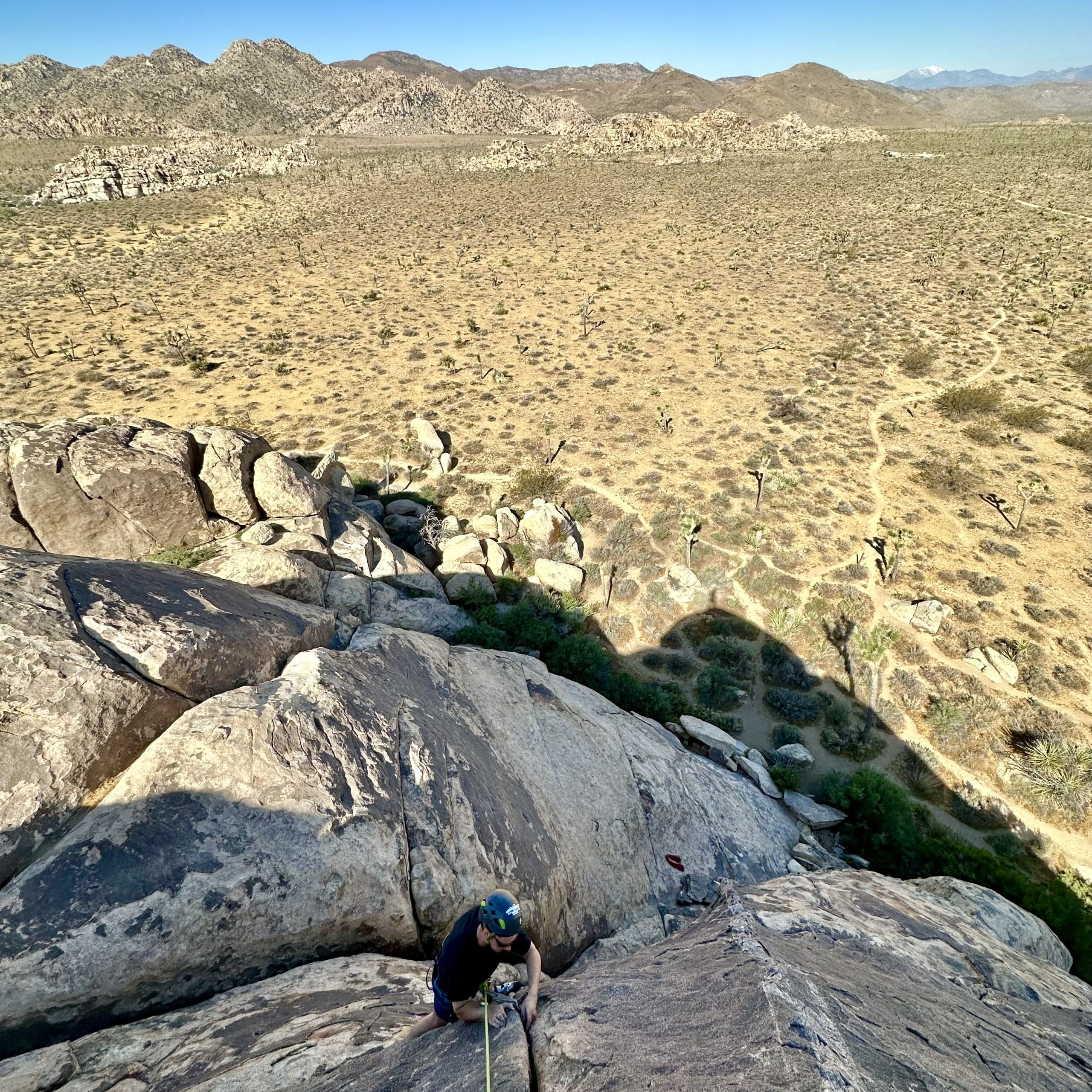 Best Joshua Tree Climbing Tour in Southern California