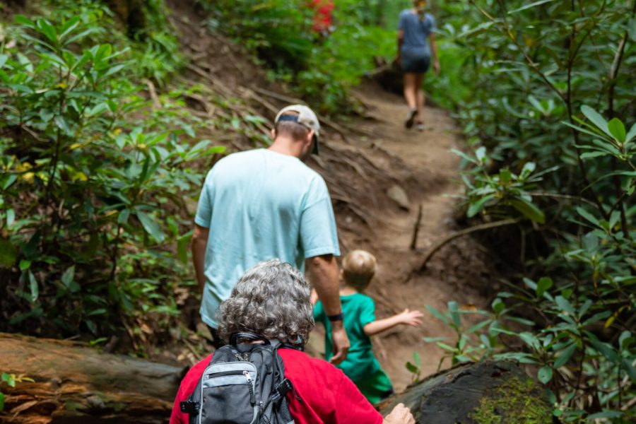 A older women in red shirt, man in blue shirt, and child in green shift during Pisgah hike walk over a log on a forest trail behind other hikers.