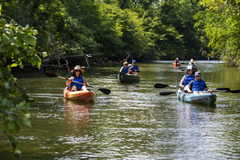 Group of five kayaks and canoes on an adventure paddle tour on a sunny day. The photo is taken looking up river at the paddlers. The trees are starting to showcase the stunning Asheville fall colors.
