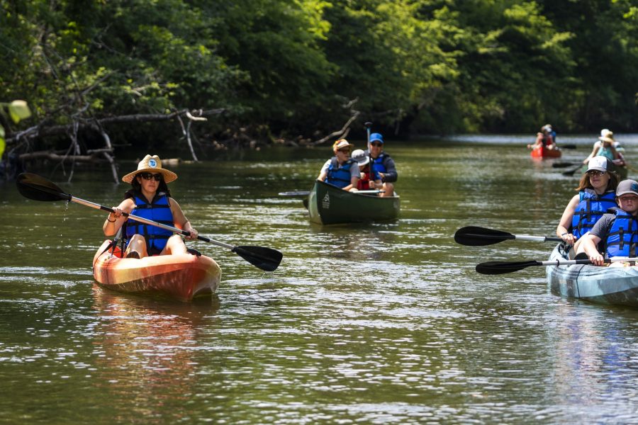 Group of five kayaks and canoes on an adventure paddle tour on a sunny day. The photo is taken looking up river at the paddlers. The trees are starting to showcase the stunning Asheville fall colors.
