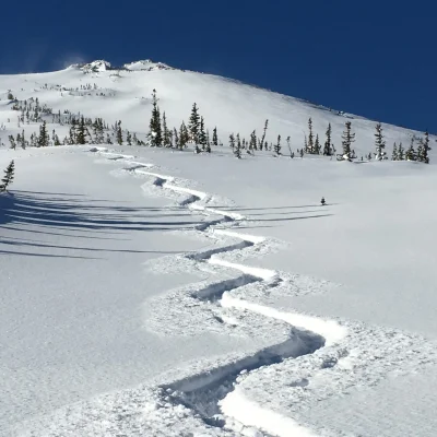 Wavy backcountry ski track down fresh snowy mountain in Rocky Mountain National Park.