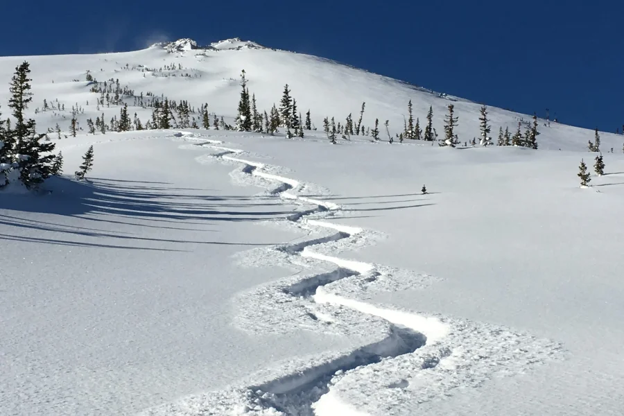 Wavy backcountry ski track down fresh snowy mountain in Rocky Mountain National Park.