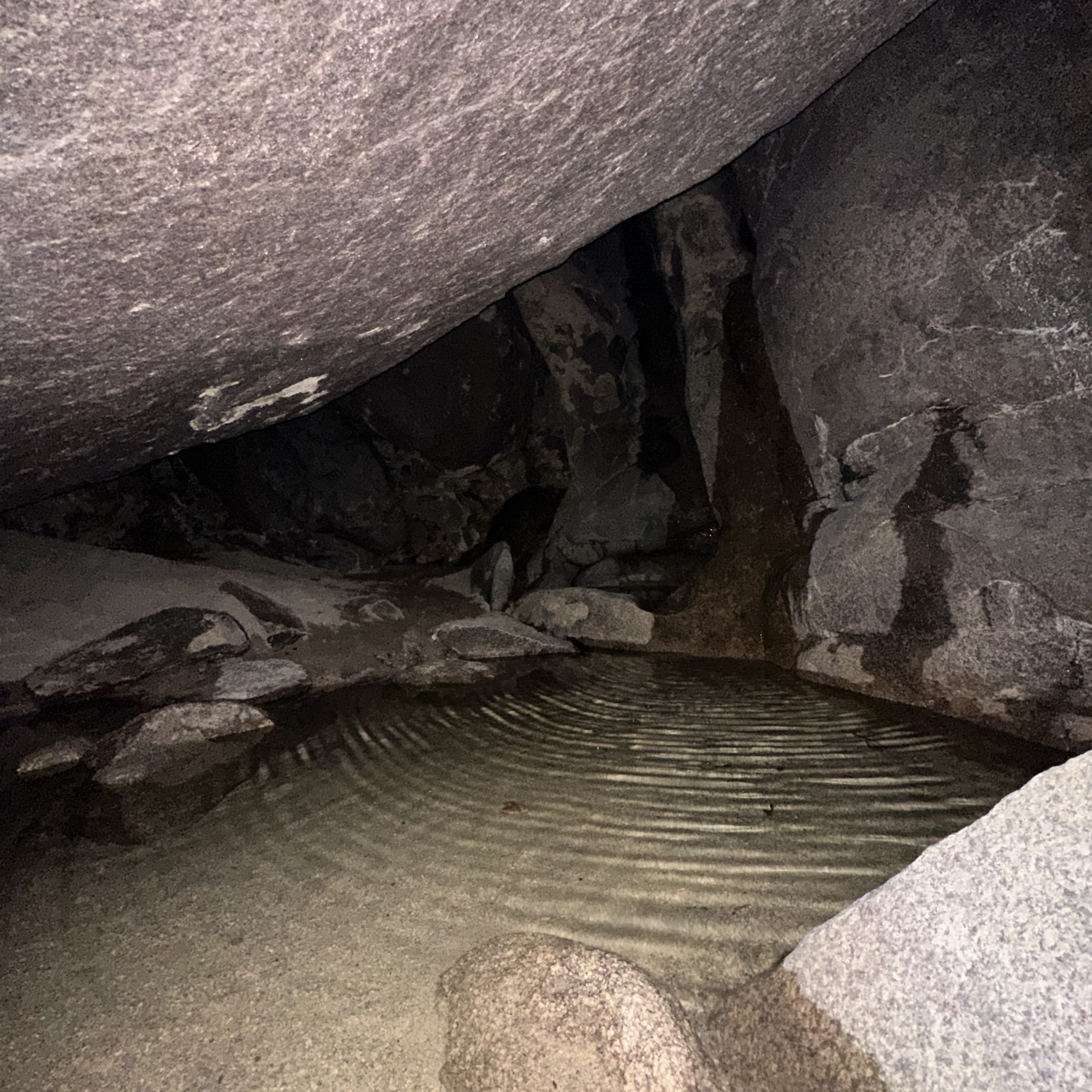 View of inside of Joshua Tree cave with pool of rippling water. The only light coming into the cave is from the camera flash on the water.
