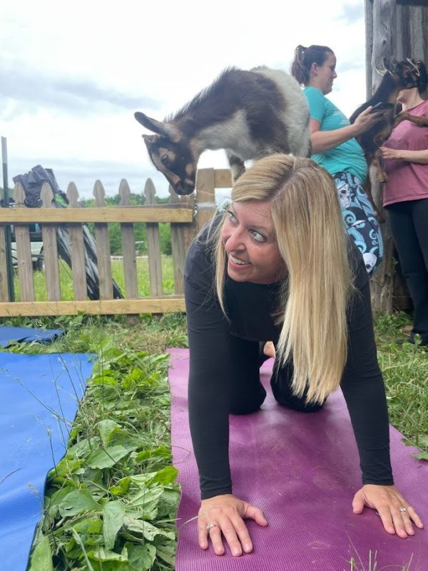 Blond hair women enjoying yoga with goats as she displays a goat on her back in downward dog pose with two women in background playing with a separate goat.