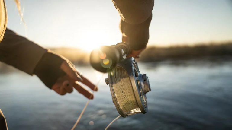 fly fishing rod