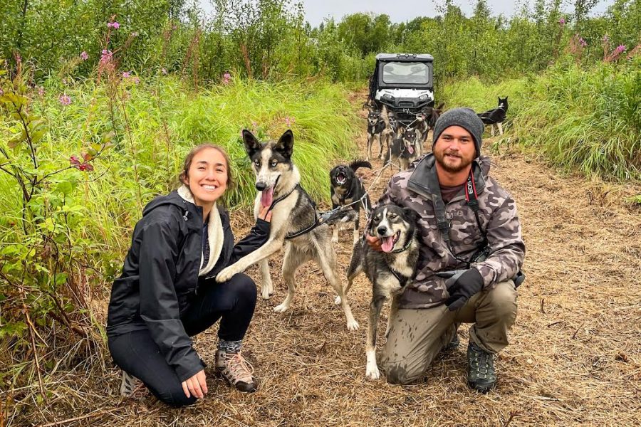 Dryland Dog Sled Tour