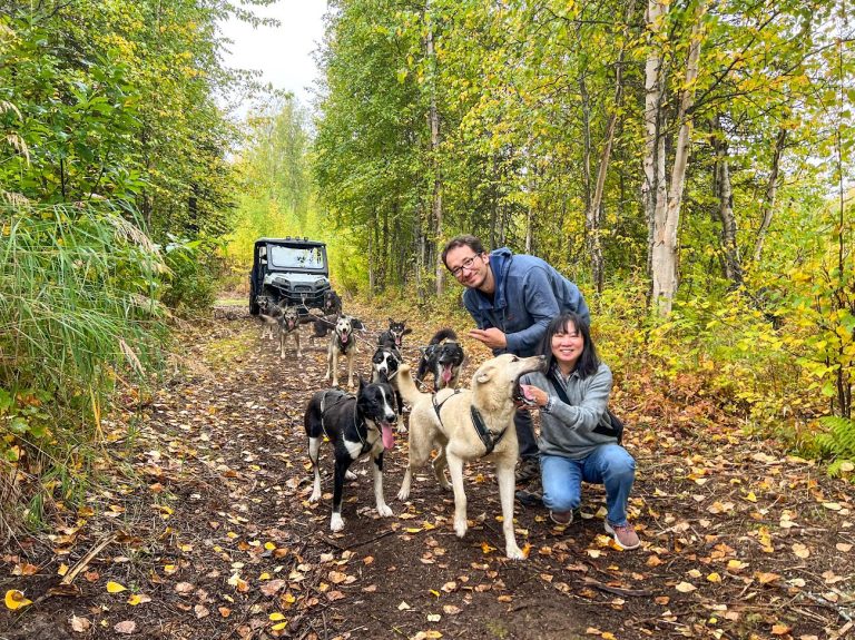 dry land dog sledding tour in telkeetna alaska