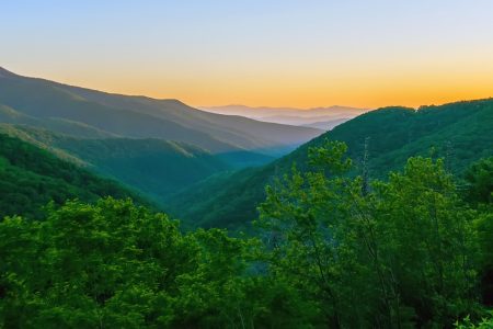 Blue Ridge Parkway: How to Plan the Perfect Road Trip