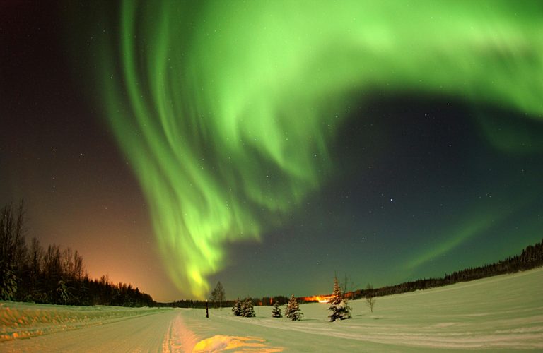 North light lights are highly sought after Alaska tours.