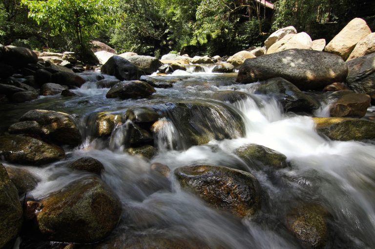 Finding a nice stream or lake can be a peaceful place to practice Shinrin-yoku.