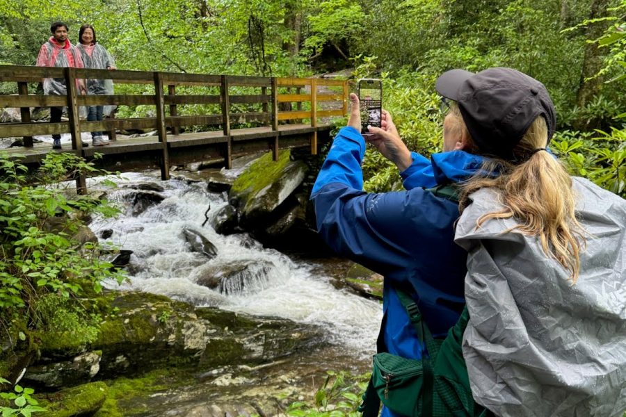 Smoky mountains tour with waterfall hikes and smokies waterfalls