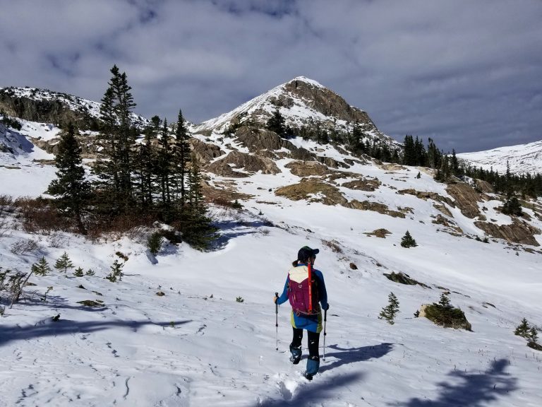 Walking tours in alaska.