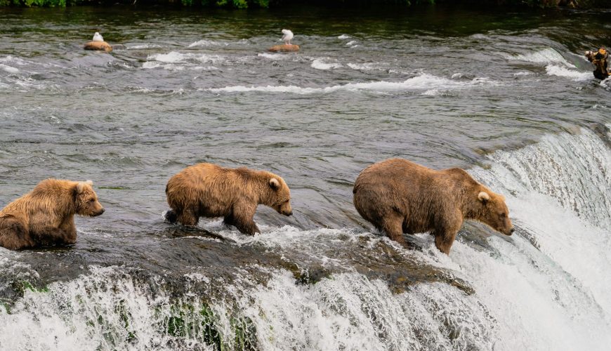 12 Best Alaska National Parks Travel Hacks