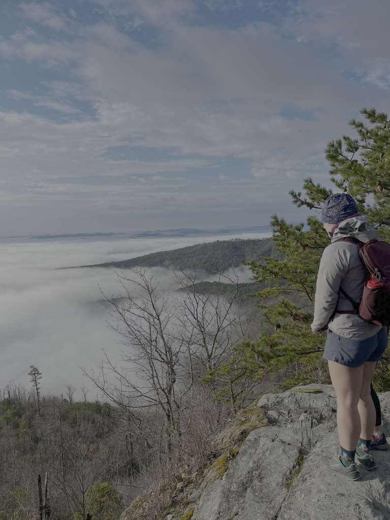 hiking pisgah national forest is a great way to get outside near Asheville, nc