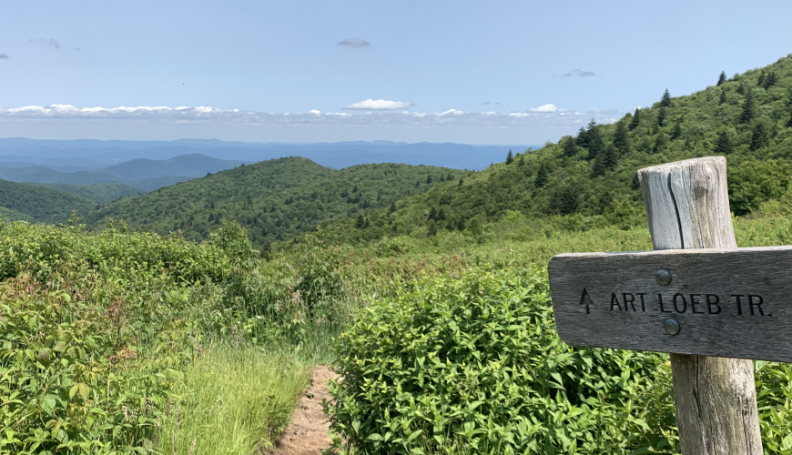 The Blue Ridge Mountains make a beautiful backdrop for hiking pisgah national forest