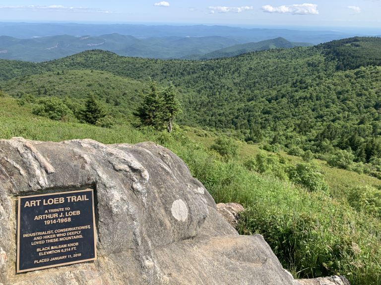 Art Loeb trail on Black Balsam Knob in Pisgah National Forest during an Asheville weekend getaway