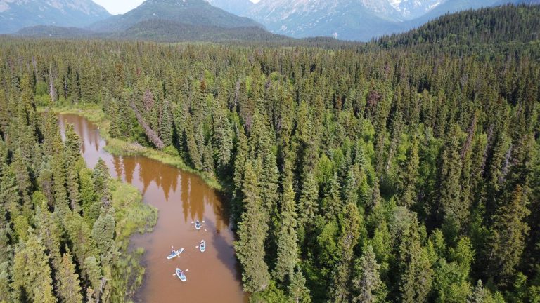 paddling boarding remote channels when on an alaska yacht charter