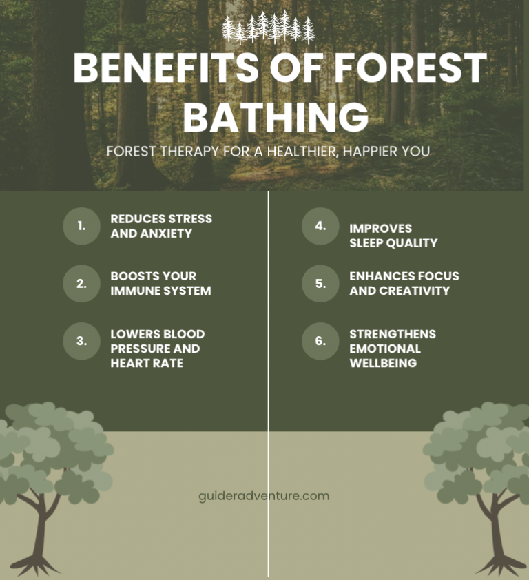 info graphic of the benefits of forest bathing