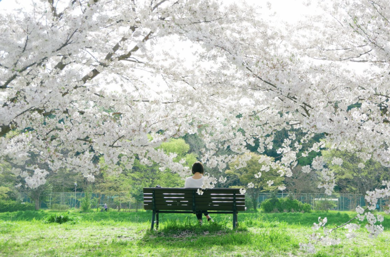 women sitting on park bench at a town park practicing forest bathing