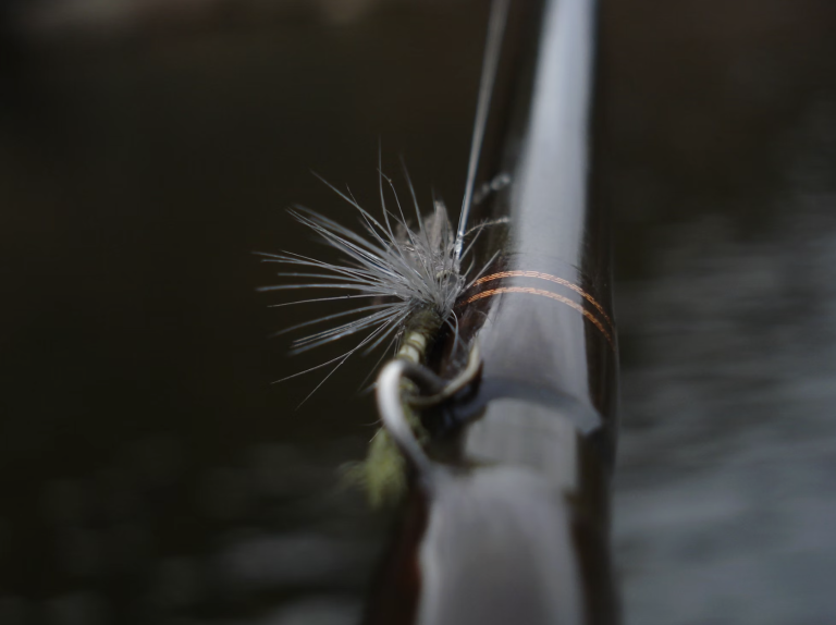fly rod for fishing montana