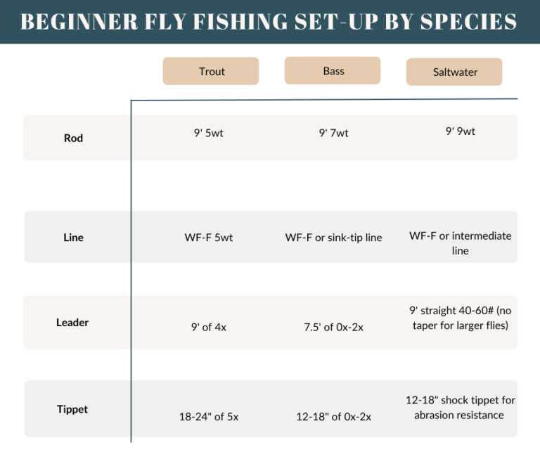 common beginner fly fishing rod set-ups for beginners