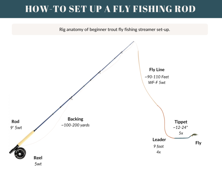 anatomy of a beginner fly fishing trout streamer fishing rod set-up