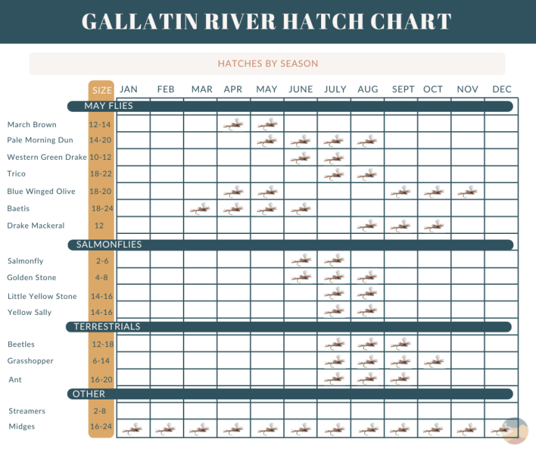 gallatin river hatch chart