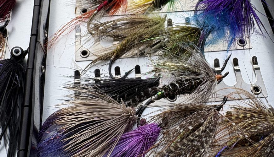 flies for fly fishing