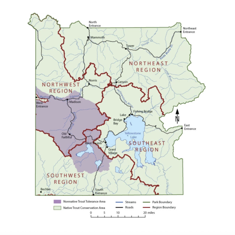 madison river fishing areas and regions map