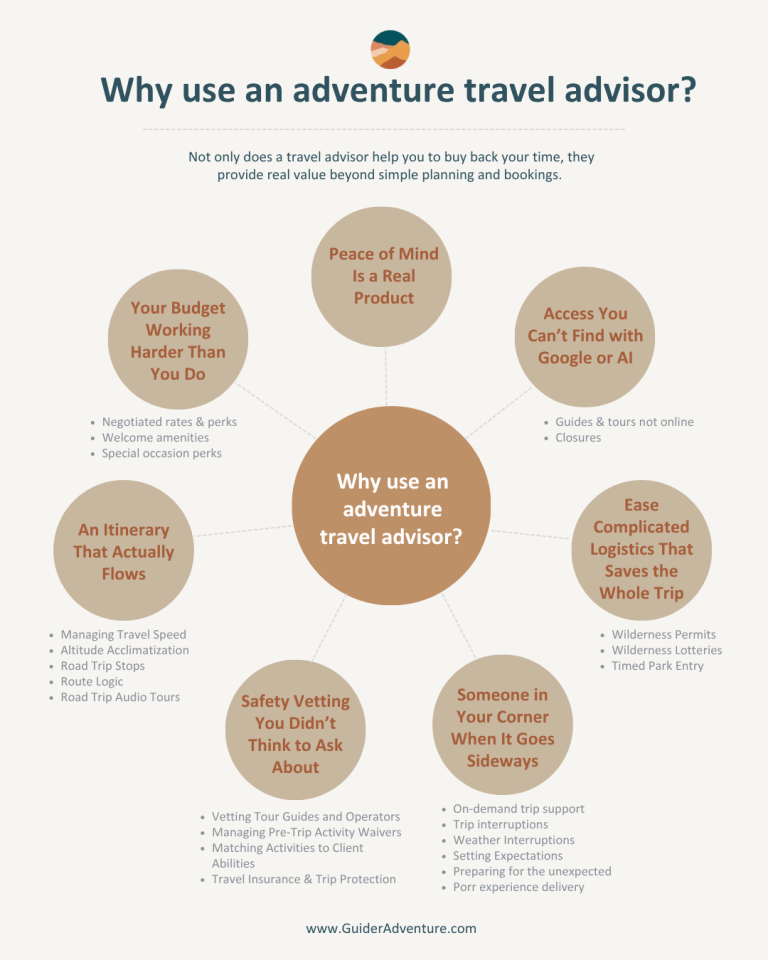 why use a travel advisor graphic